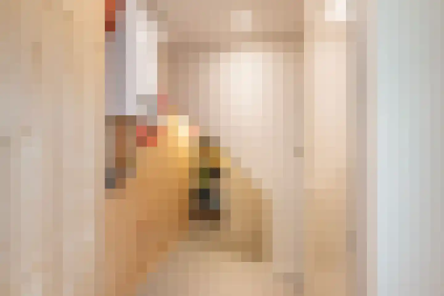 Ripperdastraat 14 Vlaardingen thumbnail 33