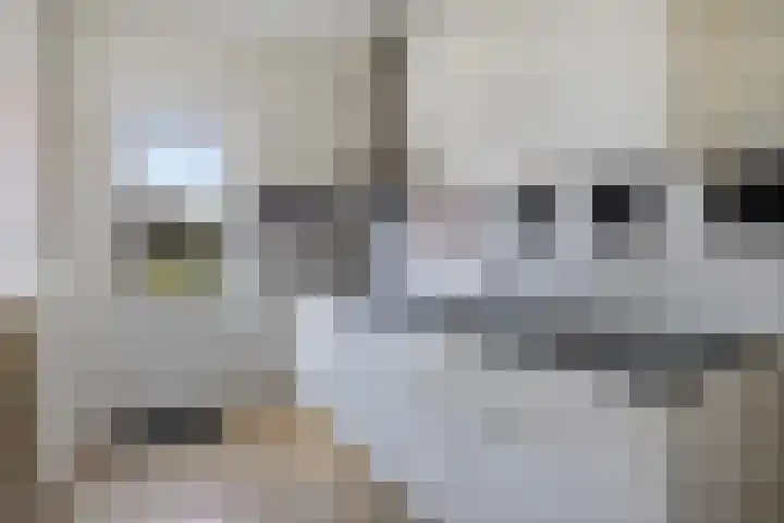 Ripperdastraat 19 Farmsum thumbnail 13