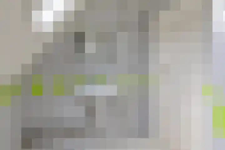 Ripperdastraat 19 Farmsum thumbnail 22
