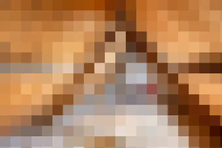 Ripperdastraat 19 Farmsum thumbnail 25