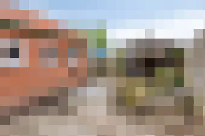 Ripperdastraat 19 Farmsum thumbnail 28