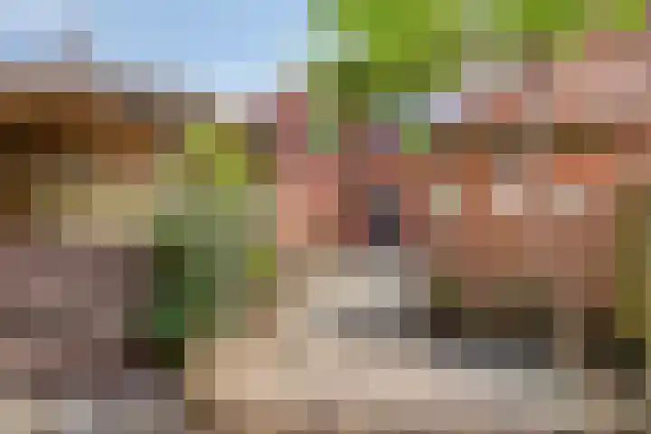 Ripperdastraat 19 Farmsum thumbnail 29