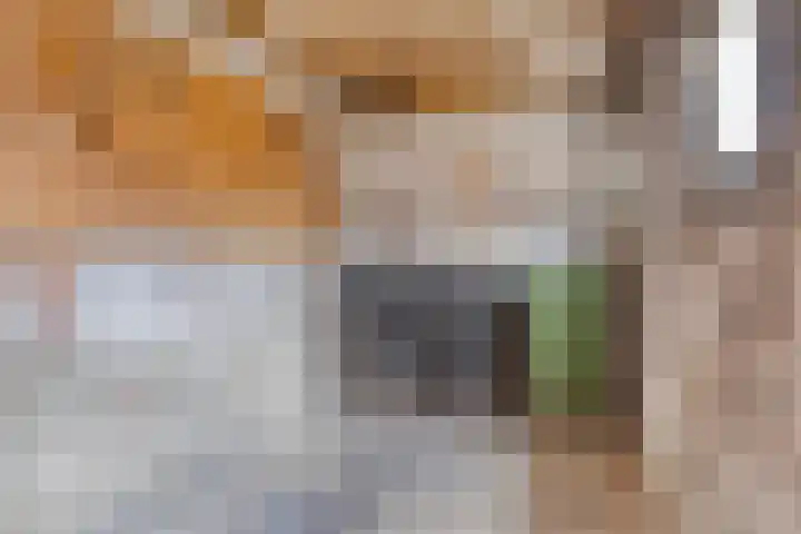 Ripperdastraat 19 Farmsum thumbnail 32