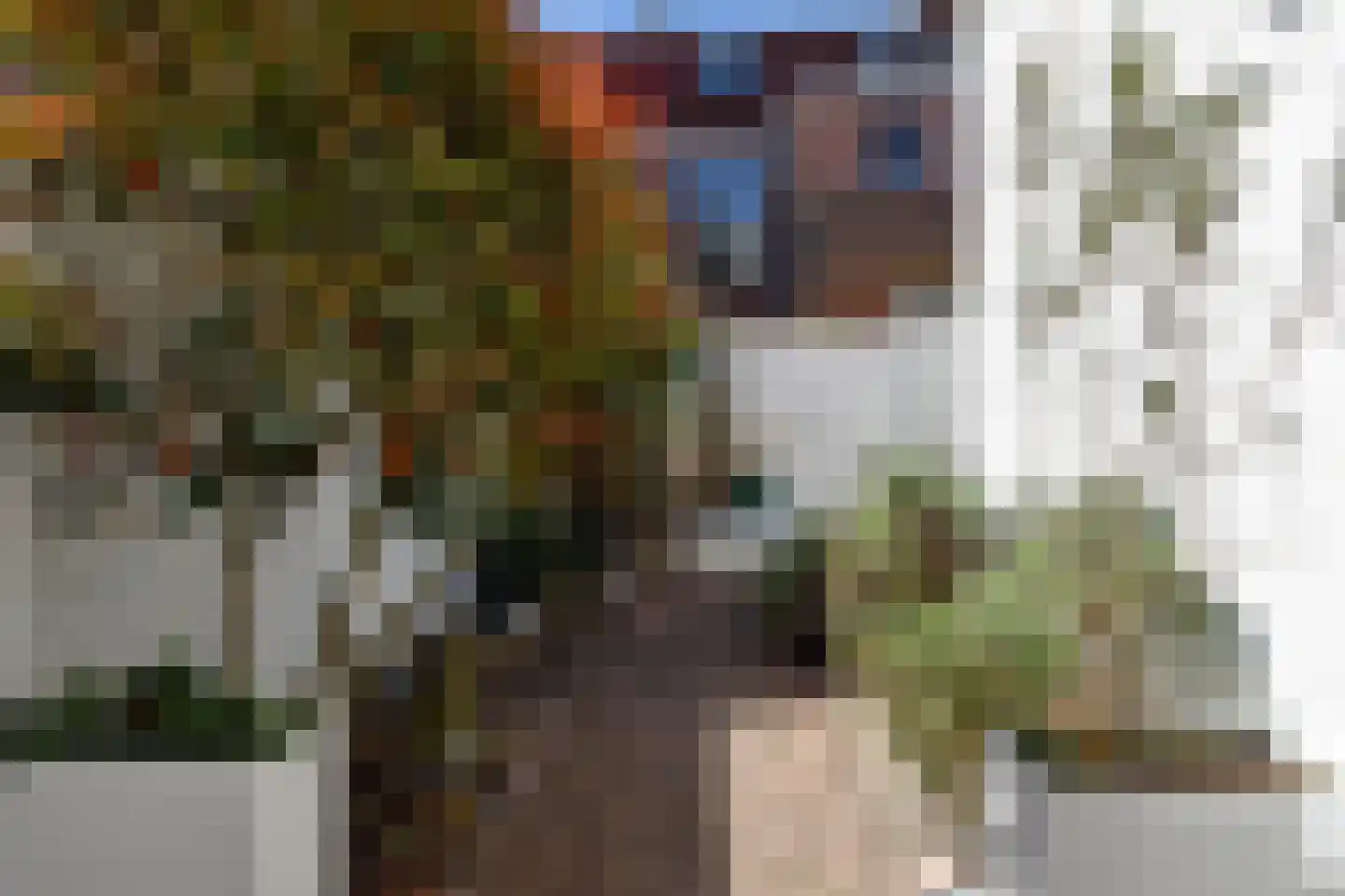 Ripperdastraat 22 Den Haag thumbnail 22