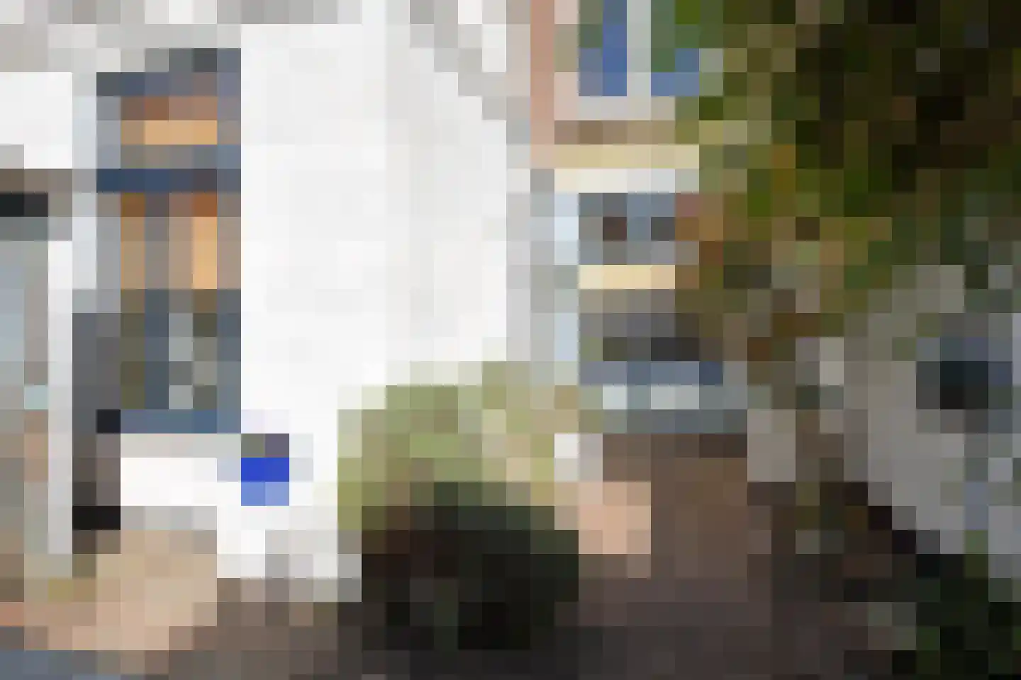 Ripperdastraat 22 Den Haag thumbnail 27