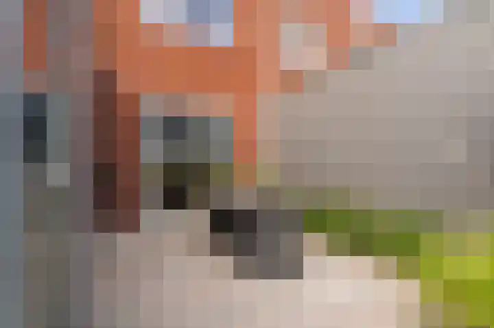 Ripperdastraat 33 Appingedam thumbnail 19