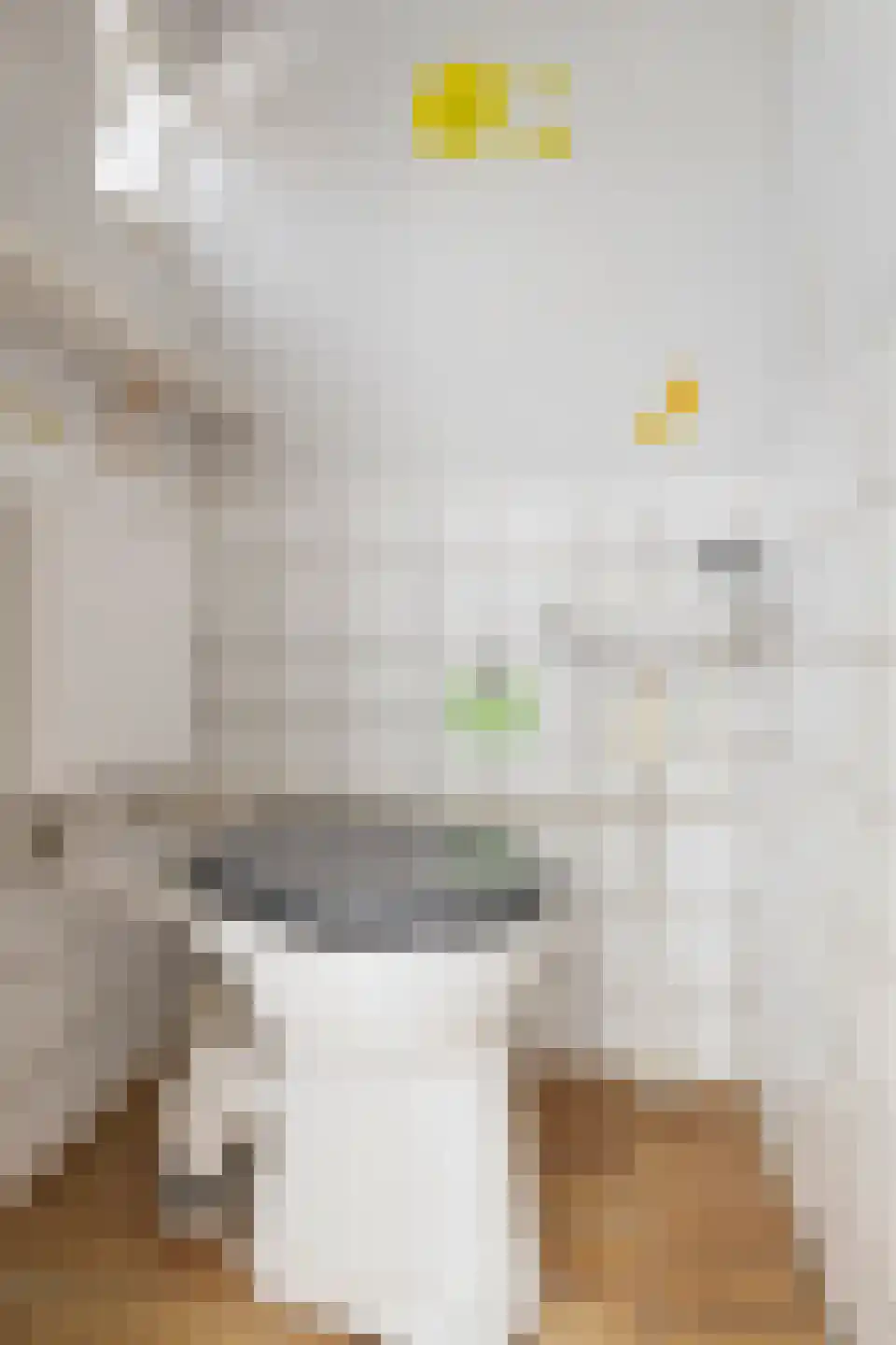 Ripperdastraat 4 Farmsum thumbnail 20
