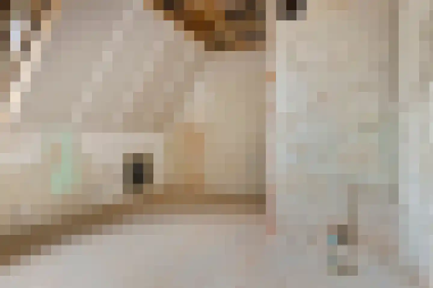 Ripperdastraat 4 Farmsum thumbnail 23