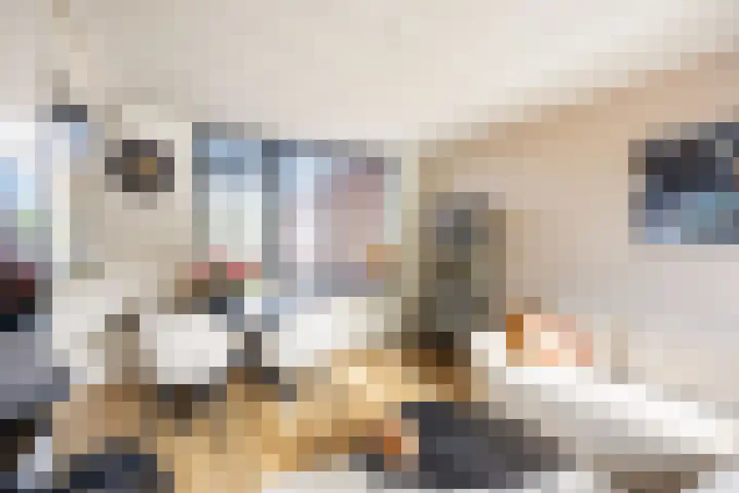 Ripperdastraat 55 Farmsum thumbnail 15