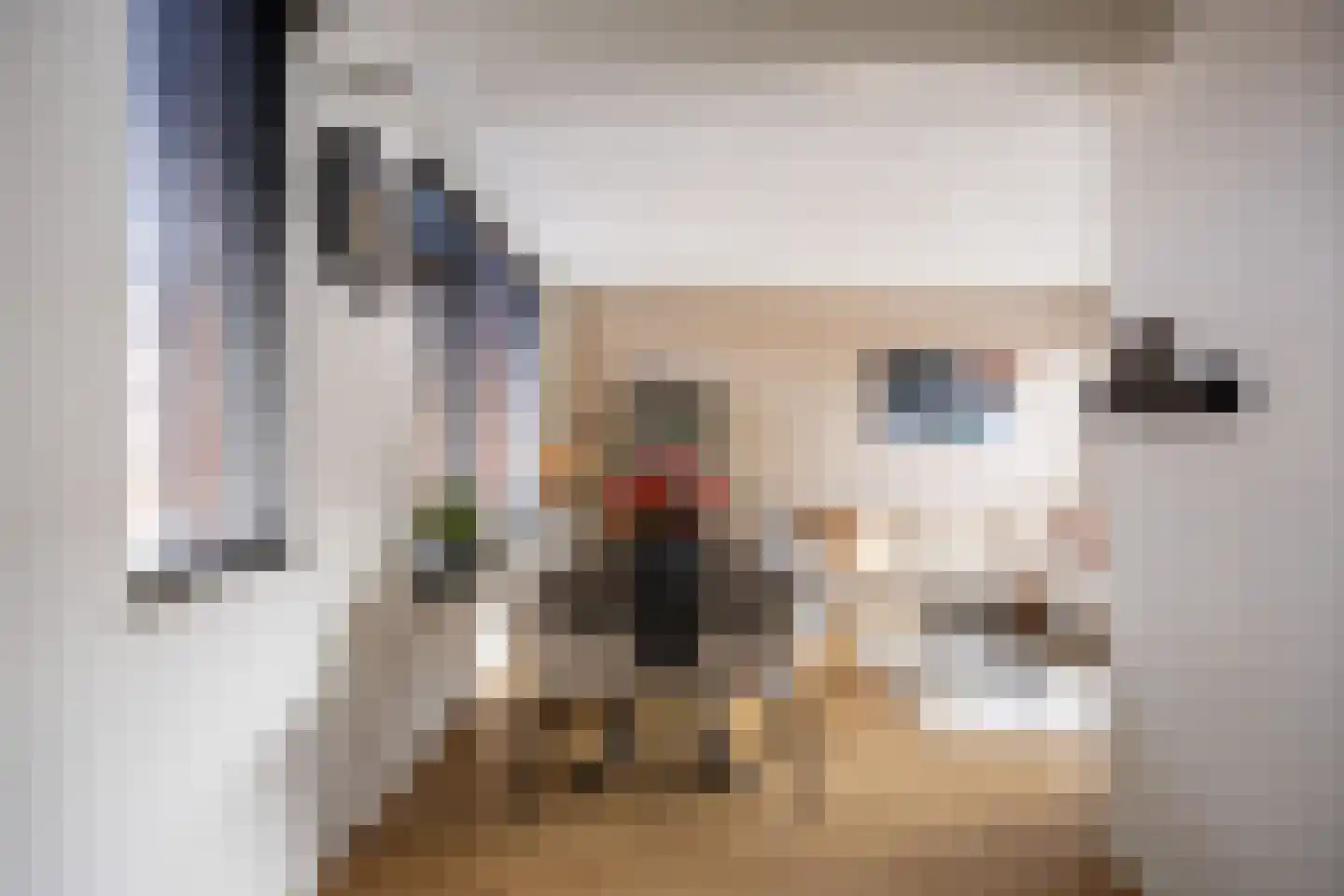 Ripperdastraat 55 Farmsum thumbnail 16