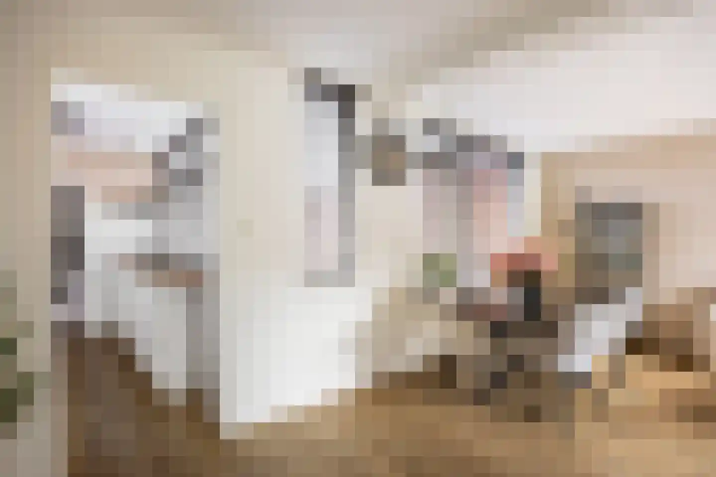 Ripperdastraat 55 Farmsum thumbnail 17