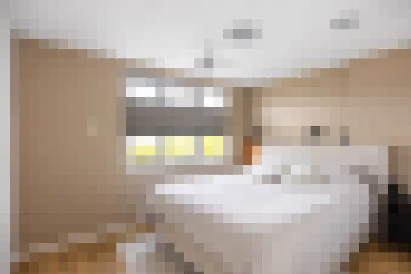 Ripperdastraat 55 Farmsum thumbnail 24