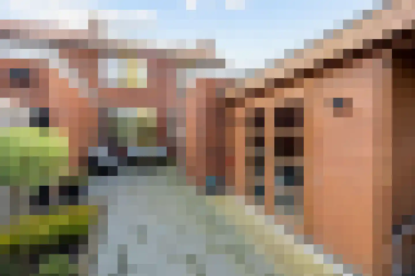 Ripperdastraat 55 Farmsum thumbnail 37