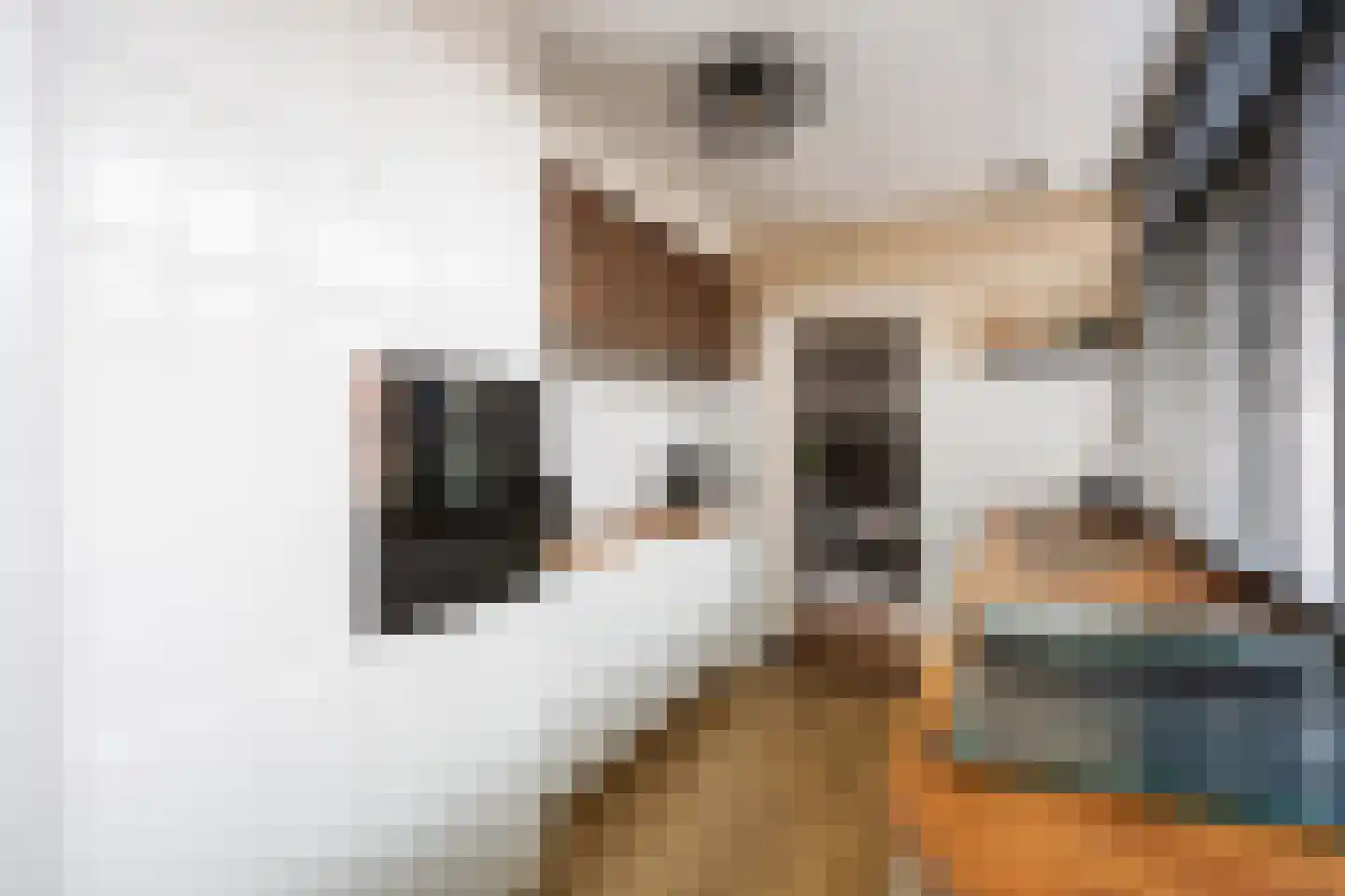Ripperdastraat 55 Farmsum thumbnail 5