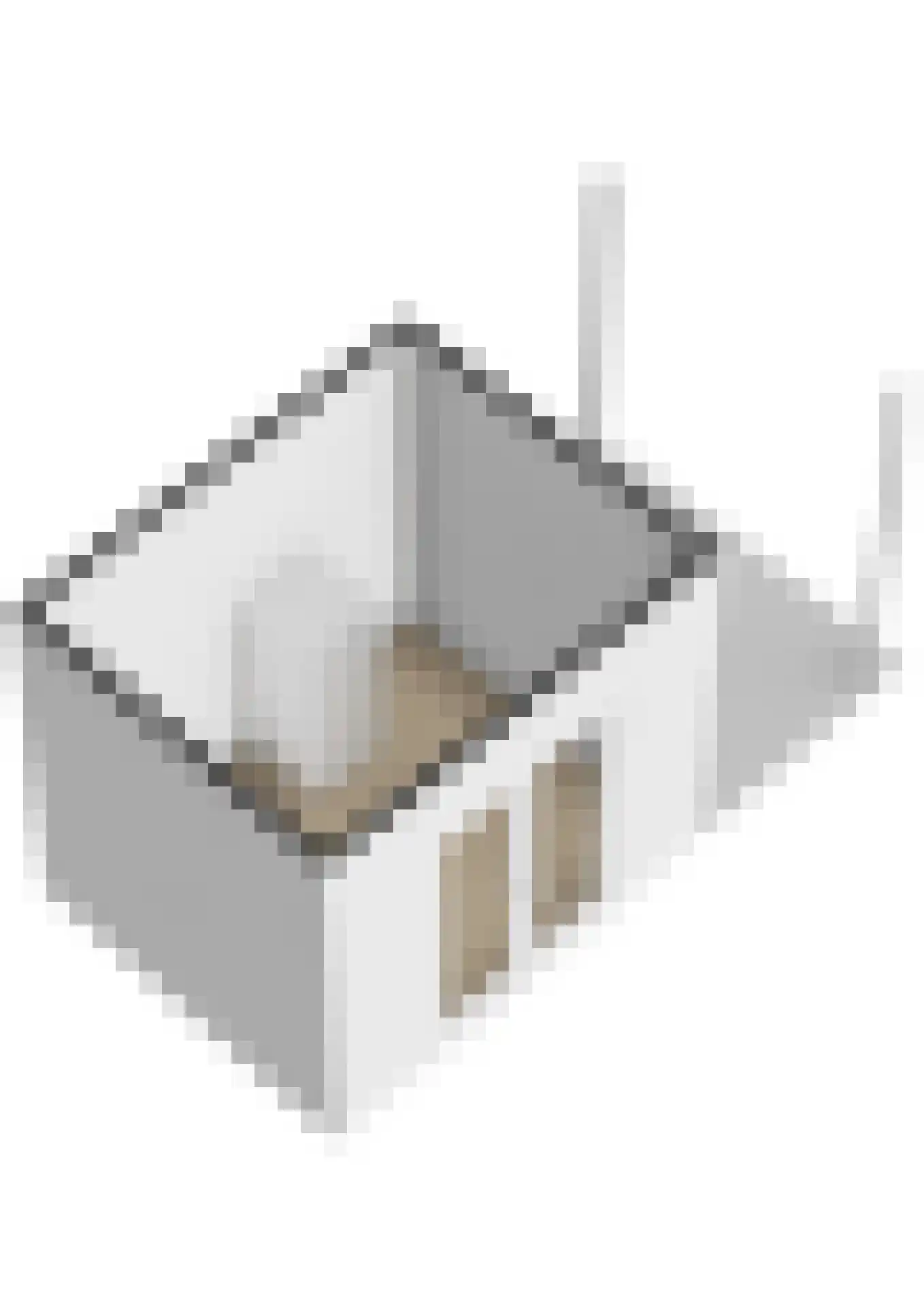 Ripperdastraat 55 Farmsum thumbnail 54