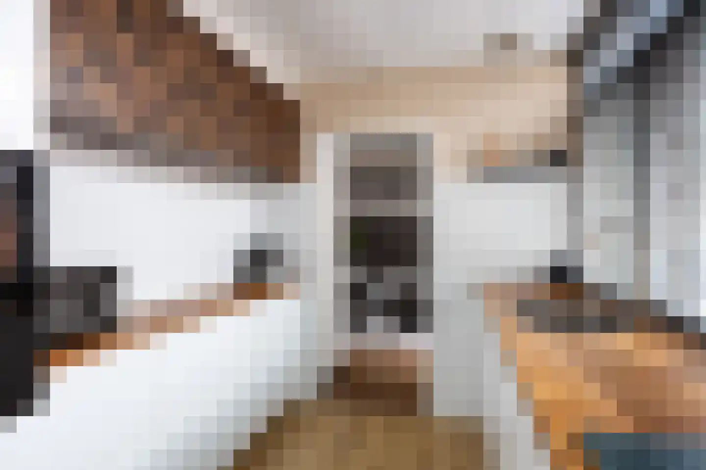 Ripperdastraat 55 Farmsum thumbnail 6