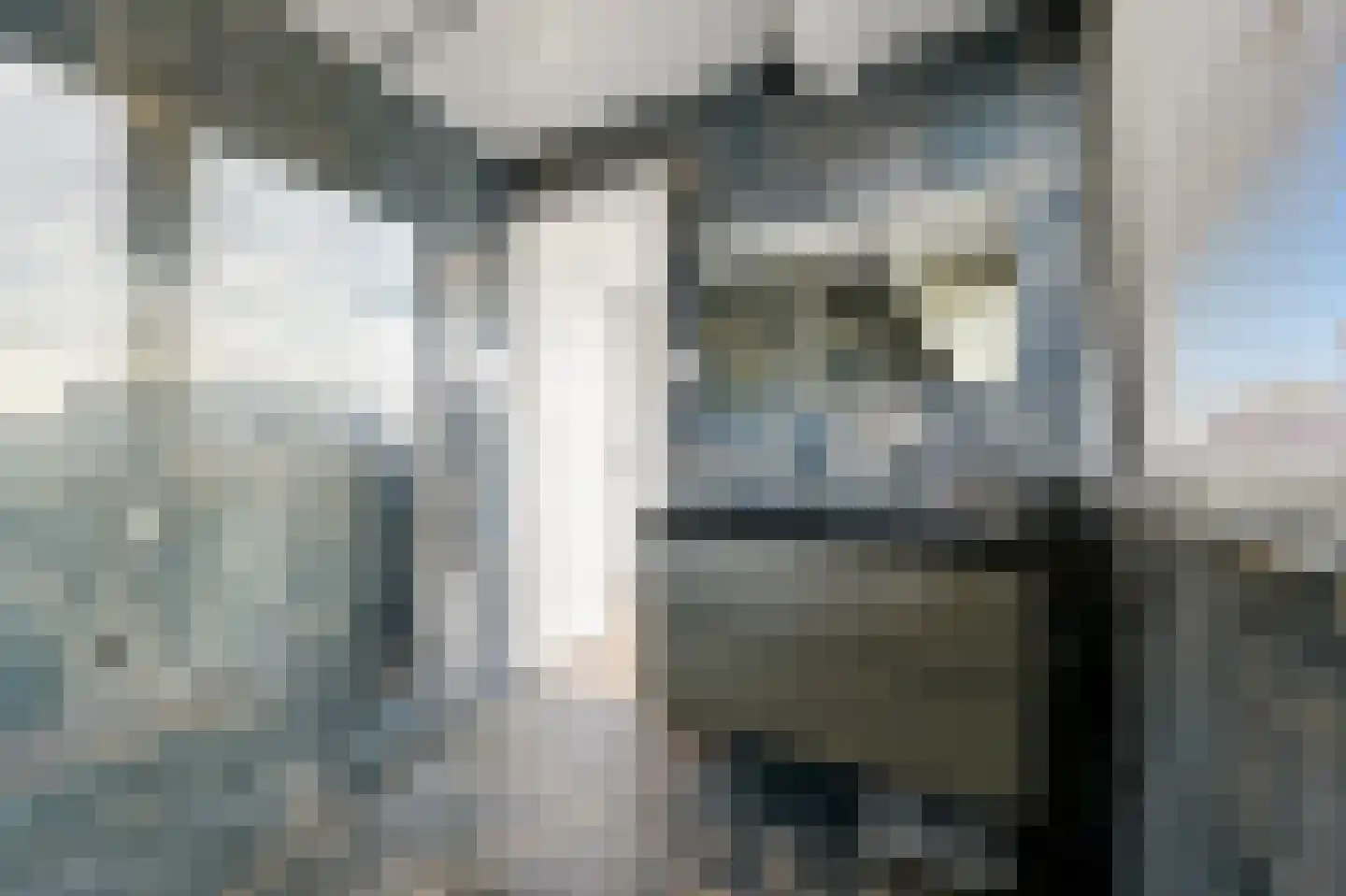 Ripperdastraat 82 Den Haag thumbnail 19