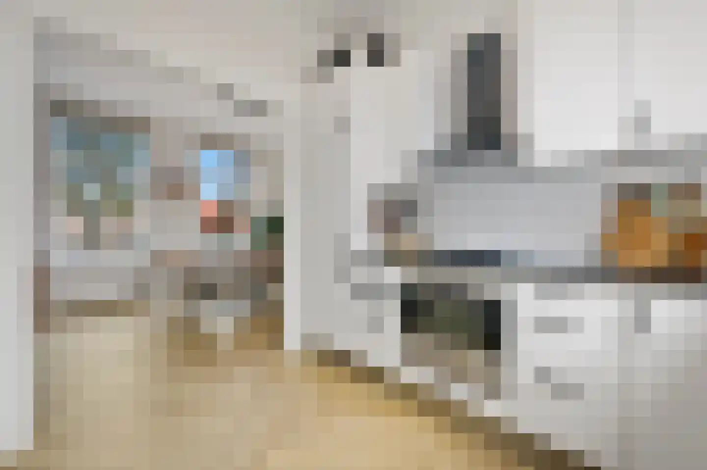 Ripperdastraat 82 Den Haag thumbnail 9