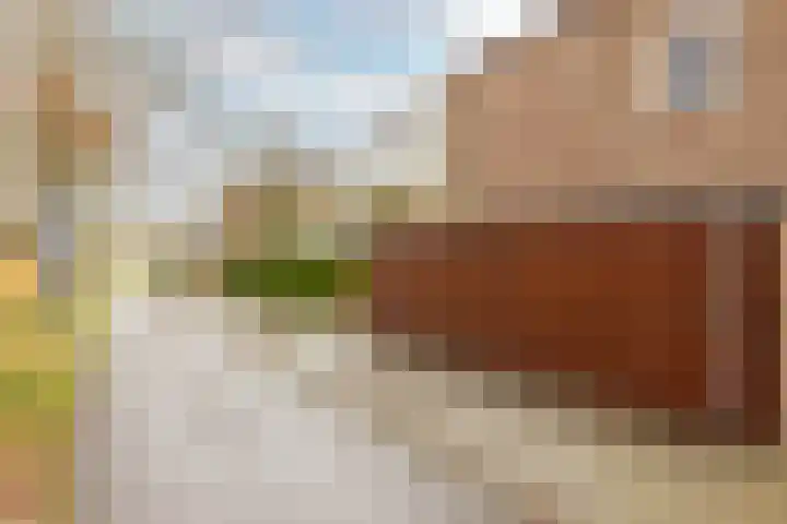 Ripperdaweg 6 Brielle thumbnail 26