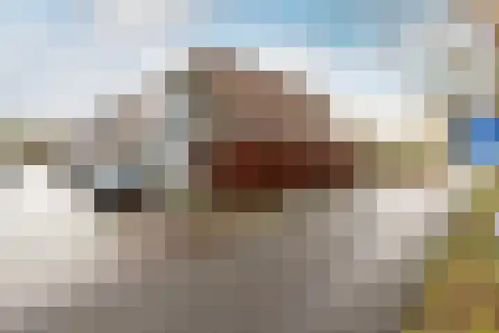 Ripperdaweg 6 Brielle thumbnail 27