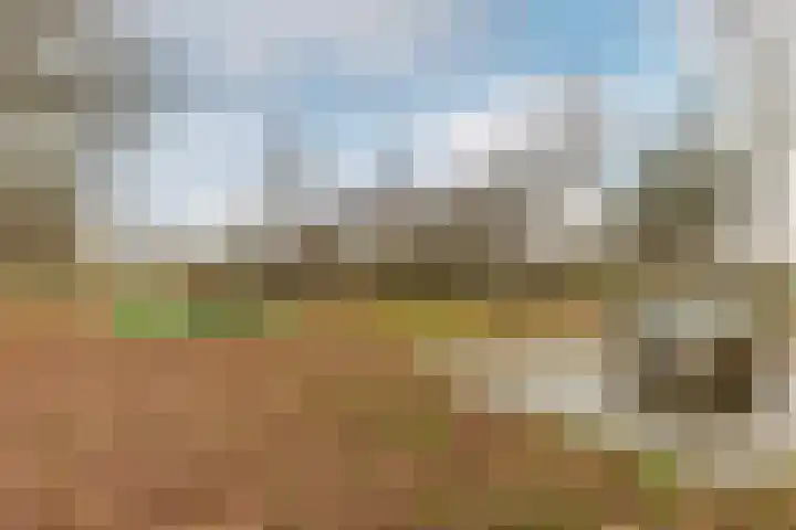 Ripperdaweg 6 Brielle thumbnail 32