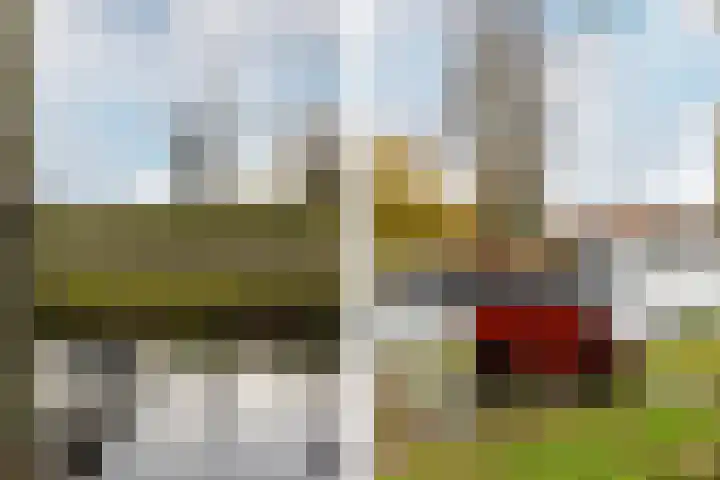 Ripperdaweg 6 Brielle thumbnail 34