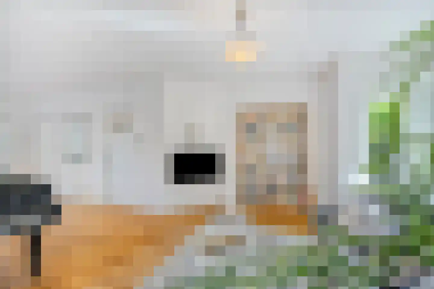 Rippingstraat 30 Alkmaar thumbnail 14