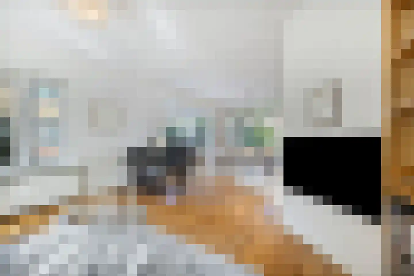 Rippingstraat 30 Alkmaar thumbnail 16