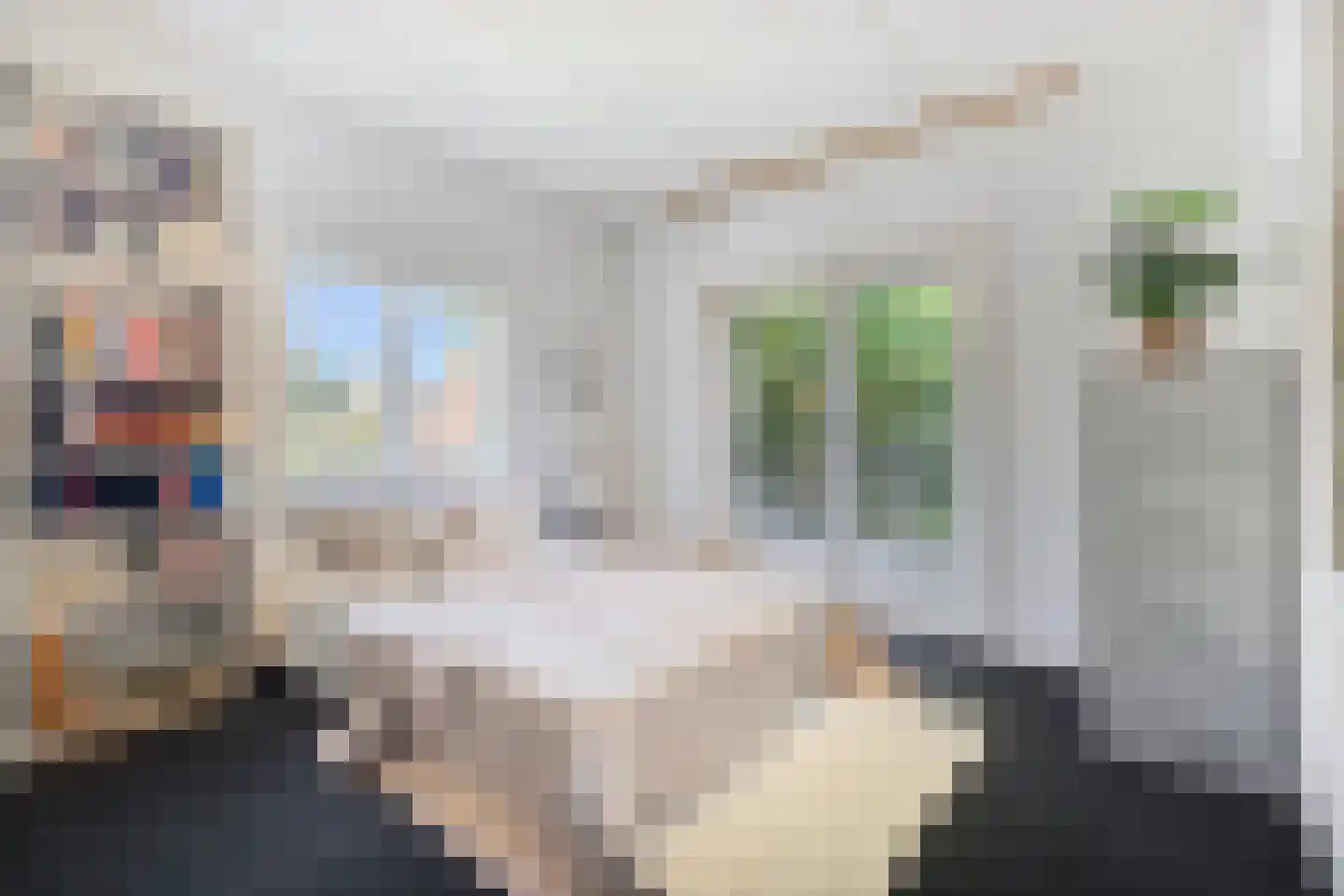 Rippingstraat 30 Alkmaar thumbnail 31