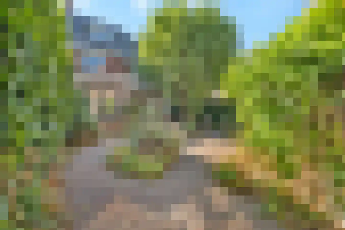 Rippingstraat 30 Alkmaar thumbnail 4