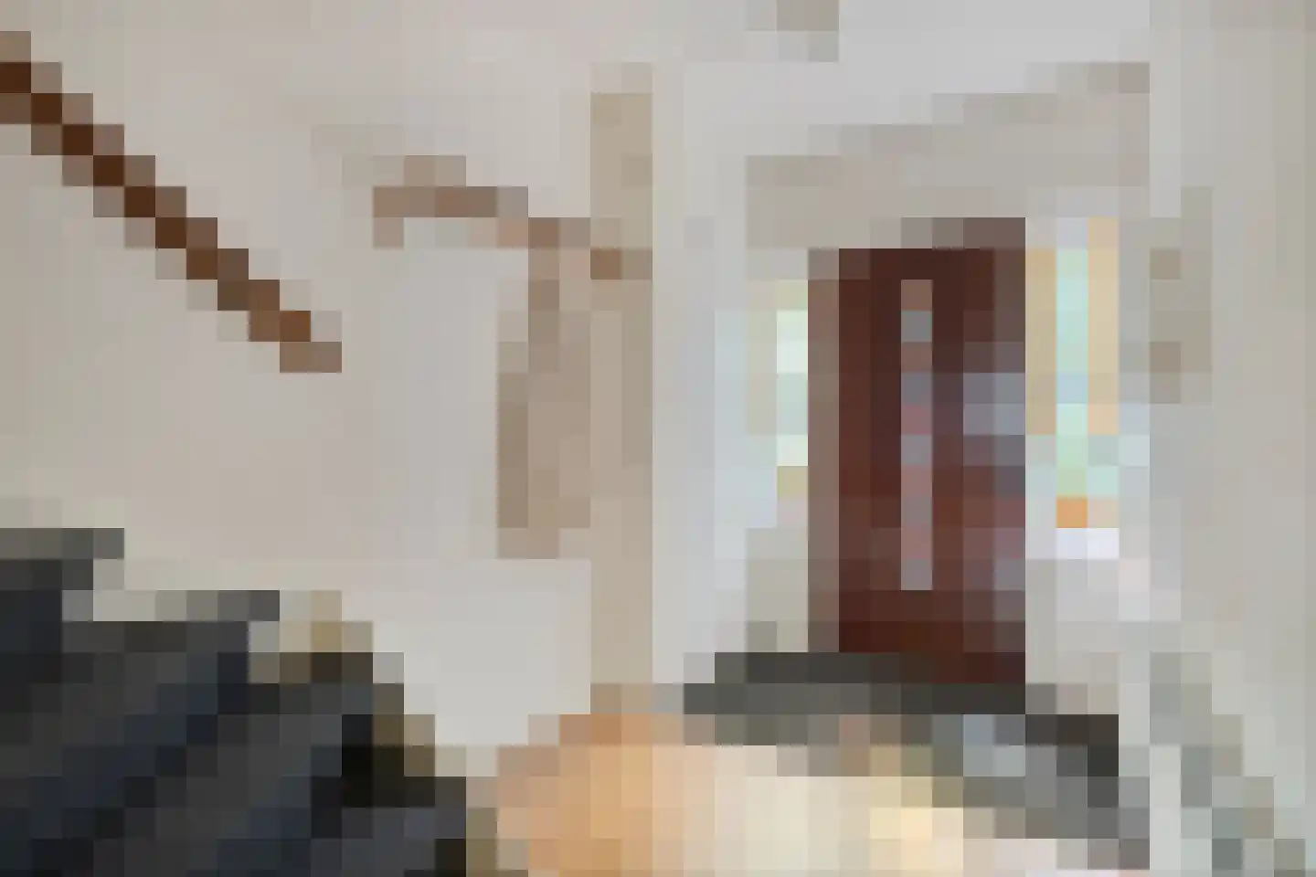 Rippingstraat 30 Alkmaar thumbnail 8