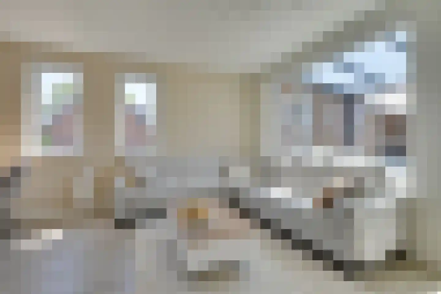 Ripprantsweijde 3 Heerhugowaard thumbnail 10