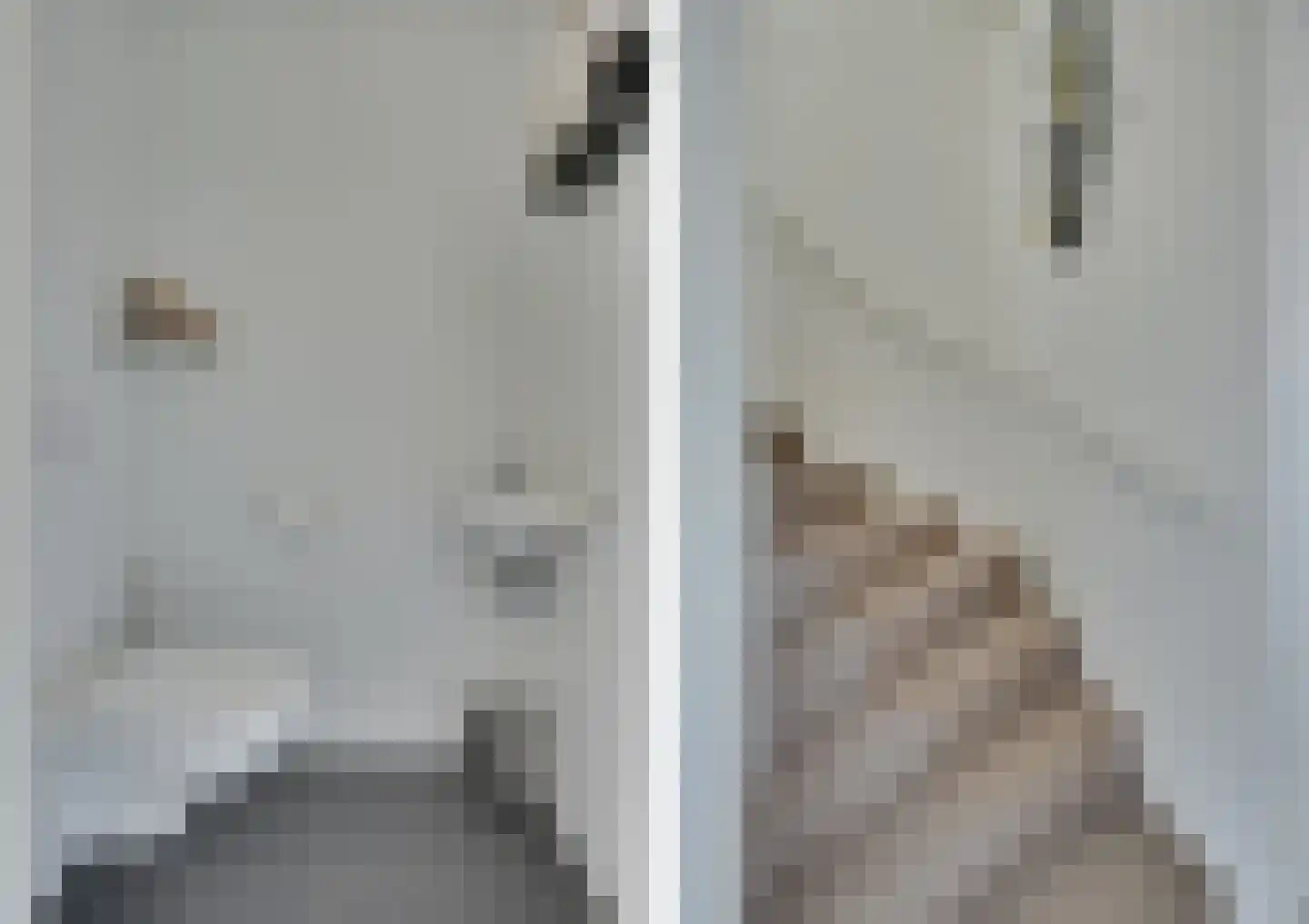 Ripprantsweijde 3 Heerhugowaard thumbnail 20