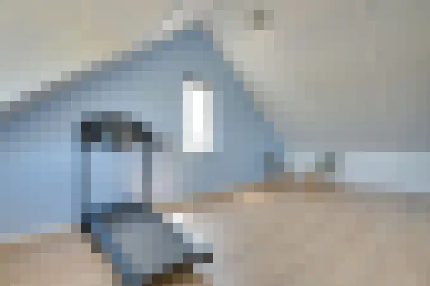 Ripprantsweijde 3 Heerhugowaard thumbnail 36