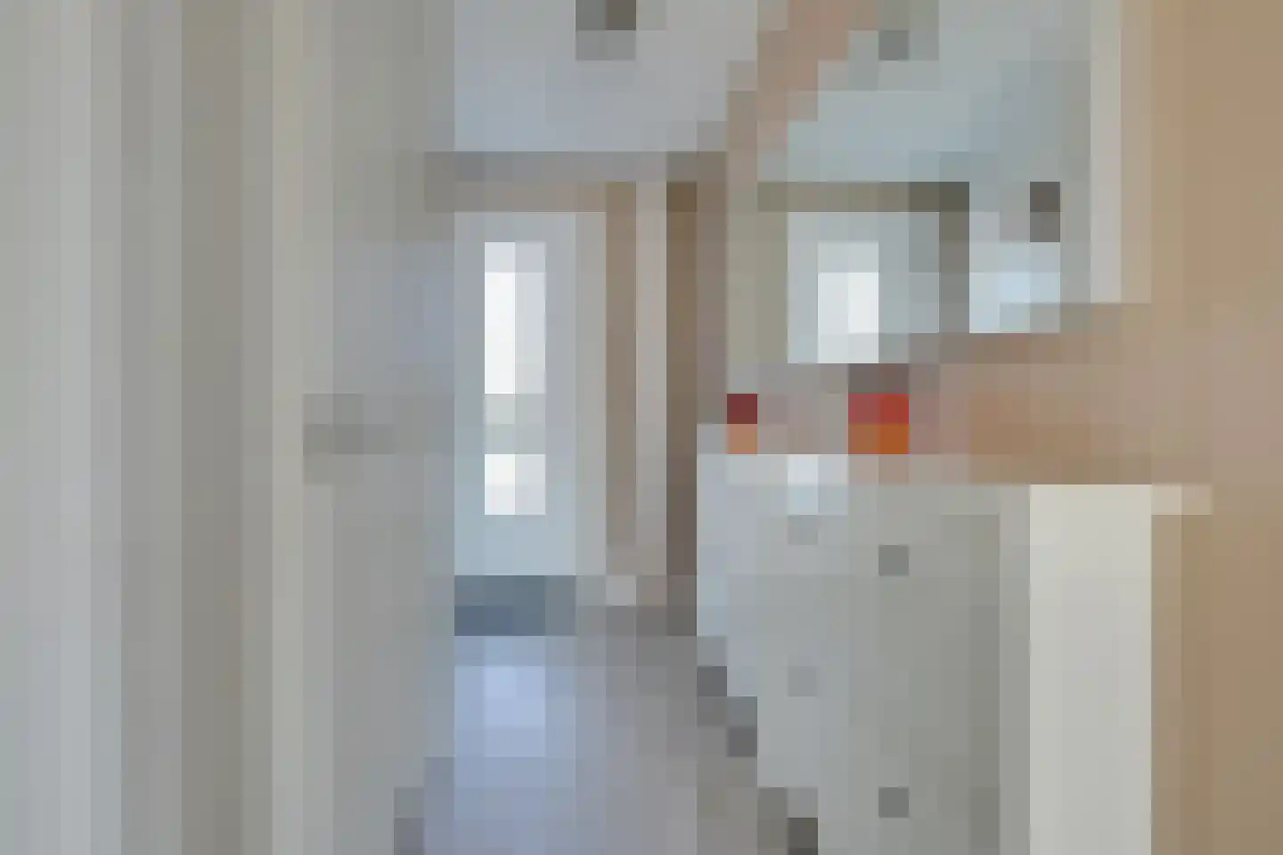 Ripprantsweijde 3 Heerhugowaard thumbnail 7