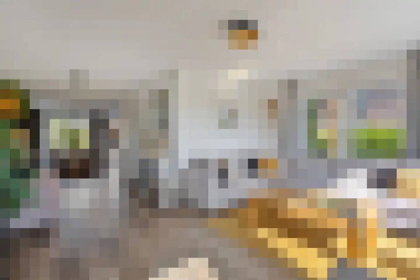 Ripprantsweijde 53 Heerhugowaard thumbnail 10