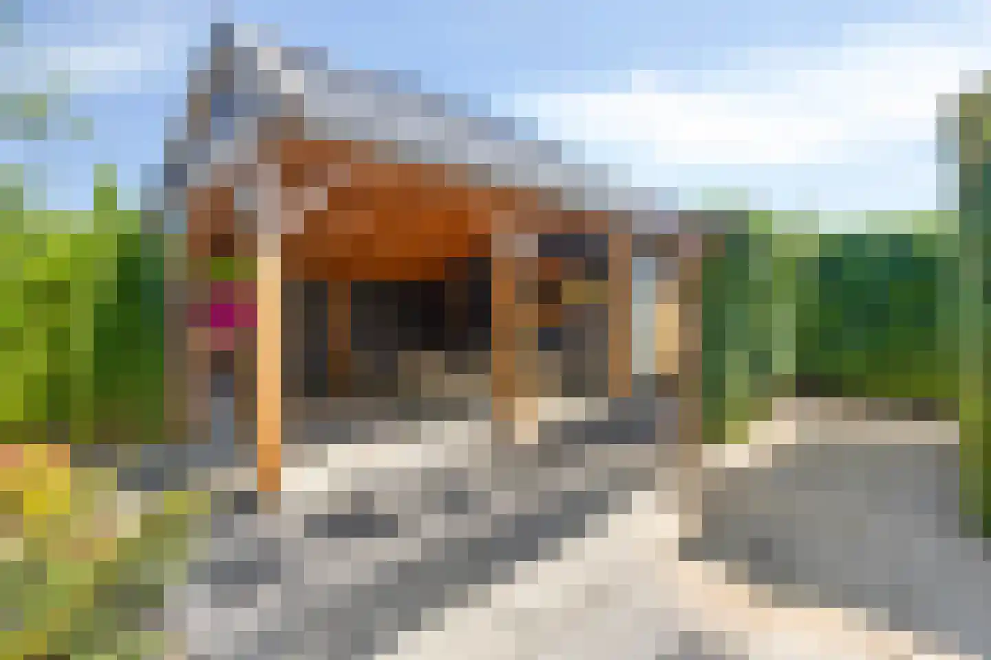 Ripprantsweijde 53 Heerhugowaard thumbnail 36