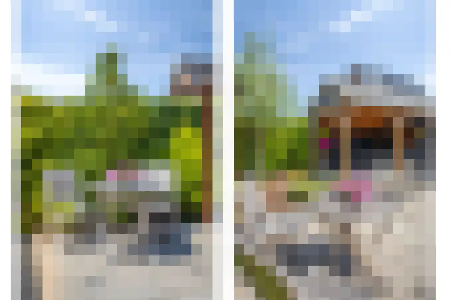 Ripprantsweijde 53 Heerhugowaard thumbnail 37