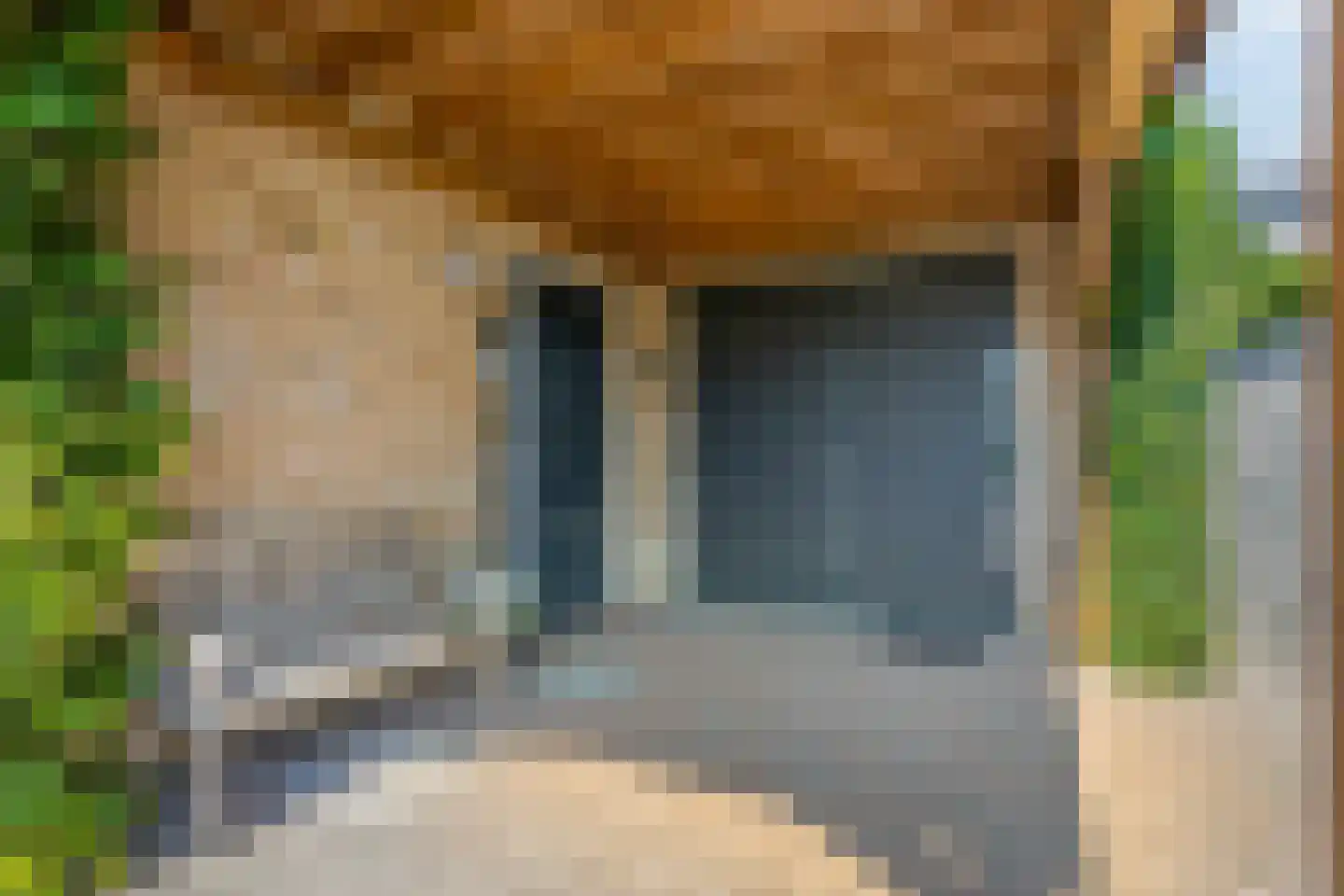 Ripprantsweijde 53 Heerhugowaard thumbnail 42