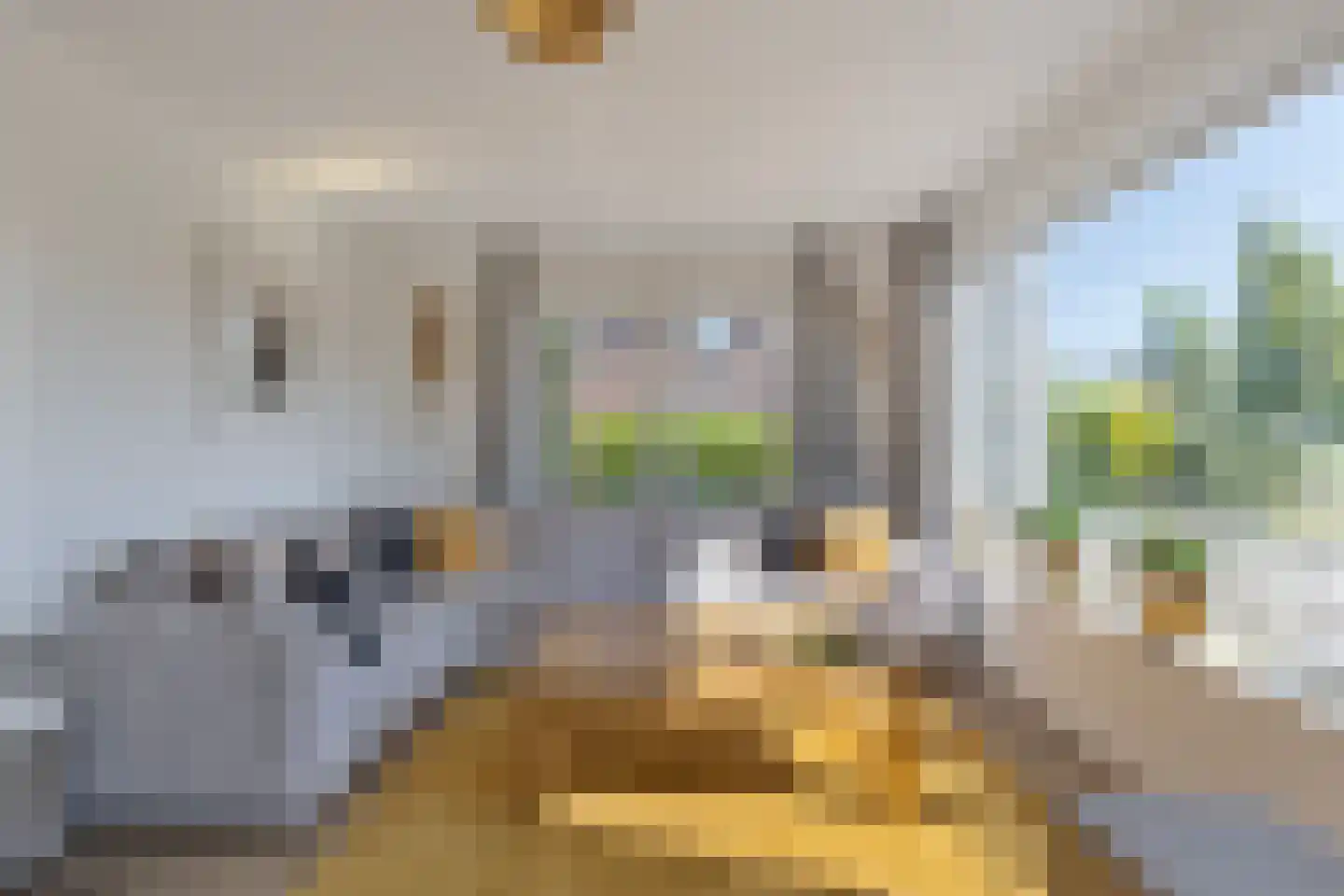 Ripprantsweijde 53 Heerhugowaard thumbnail 9