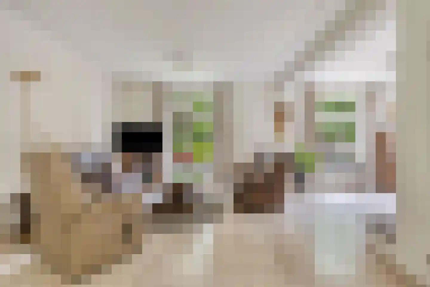 Ripsestraat 22 b De Rips thumbnail 13