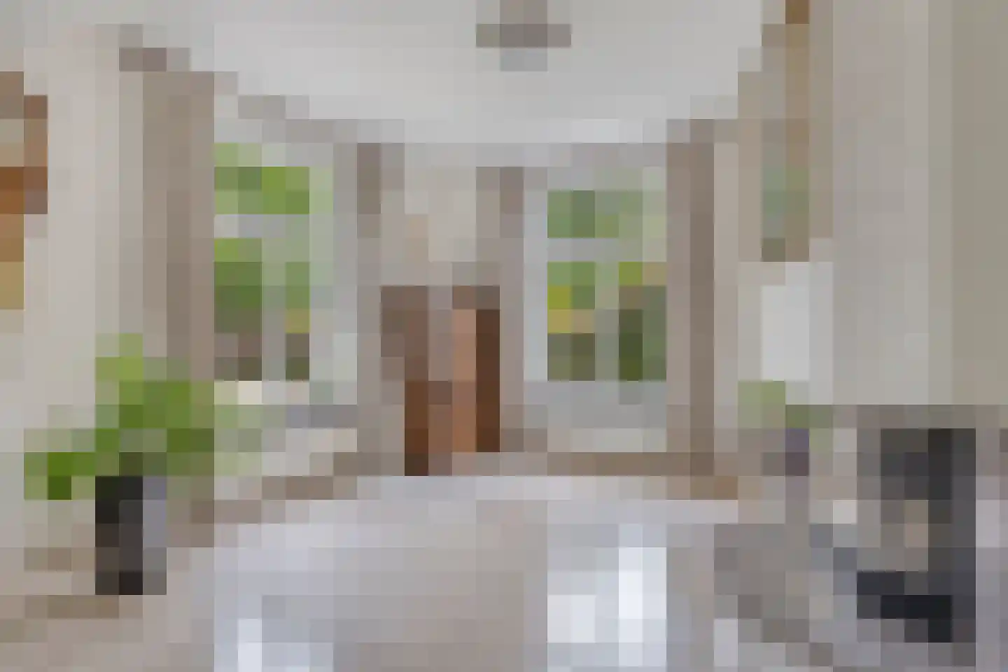 Ripsestraat 22 b De Rips thumbnail 15