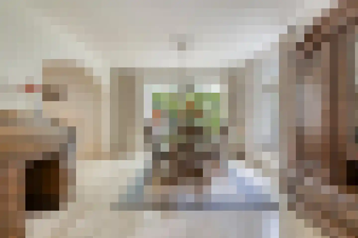 Ripsestraat 22 b De Rips thumbnail 18