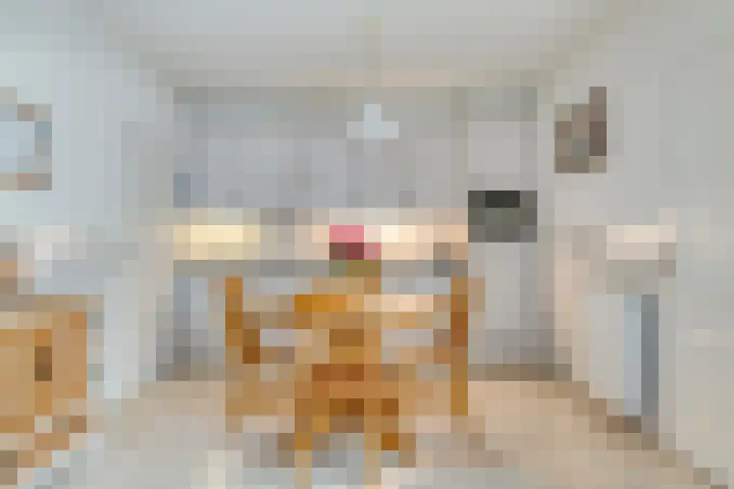 Ripsestraat 22 b De Rips thumbnail 22
