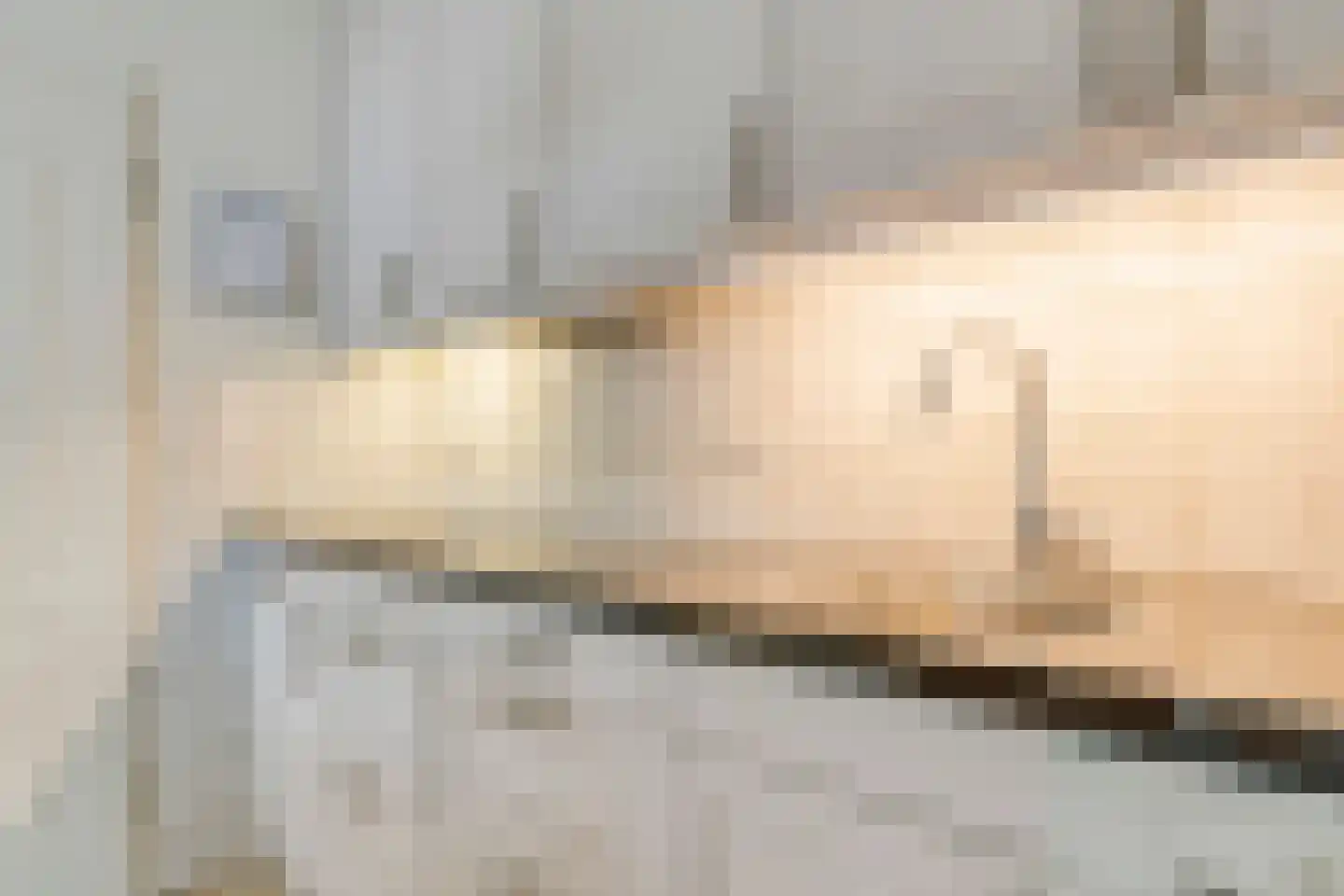 Ripsestraat 22 b De Rips thumbnail 24