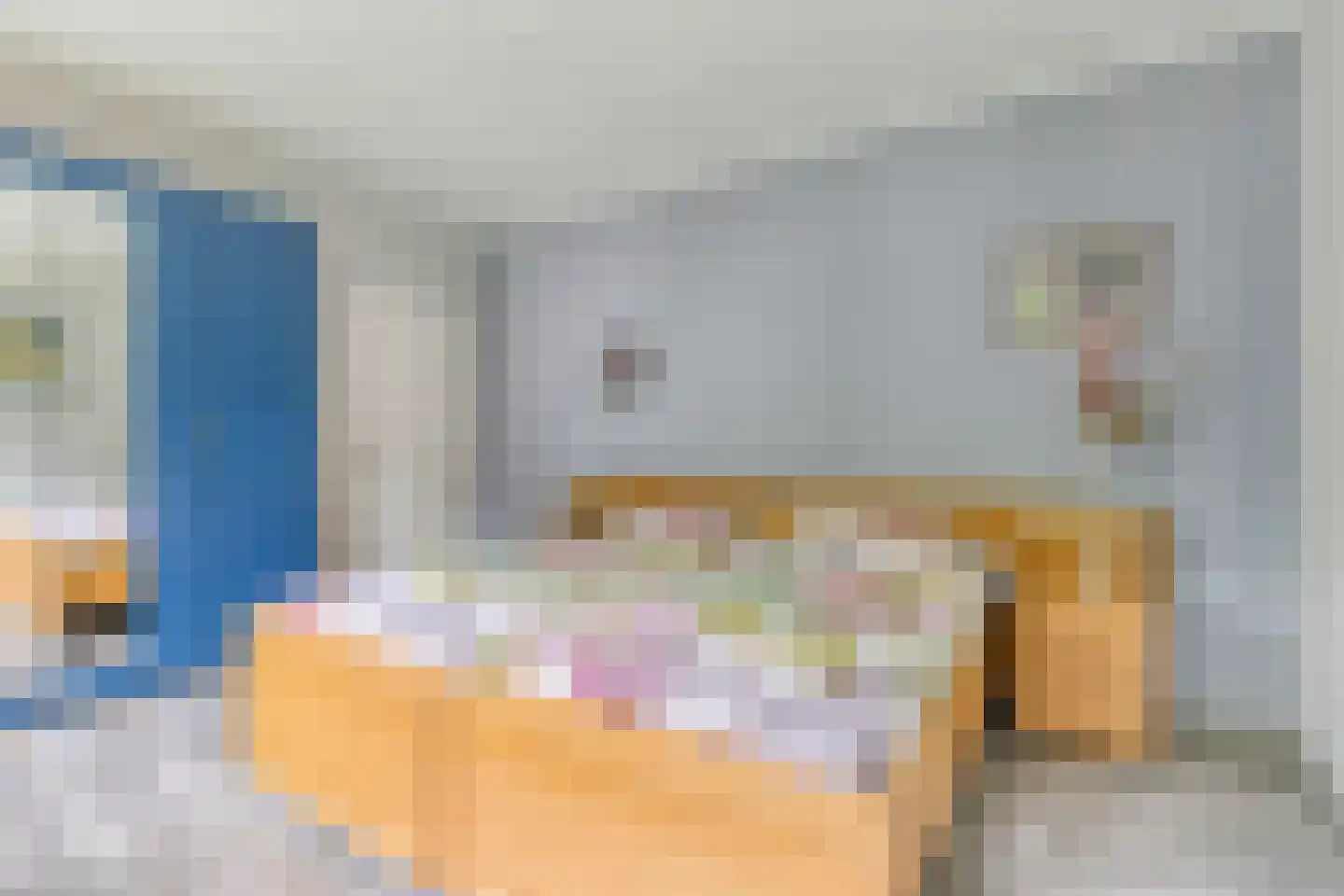 Ripsestraat 22 b De Rips thumbnail 29