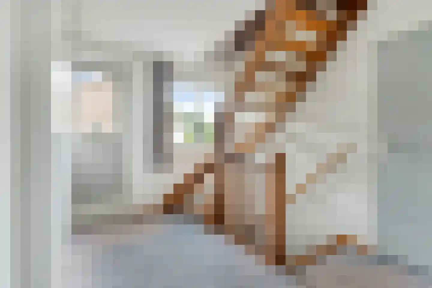 Ripsestraat 22 b De Rips thumbnail 36