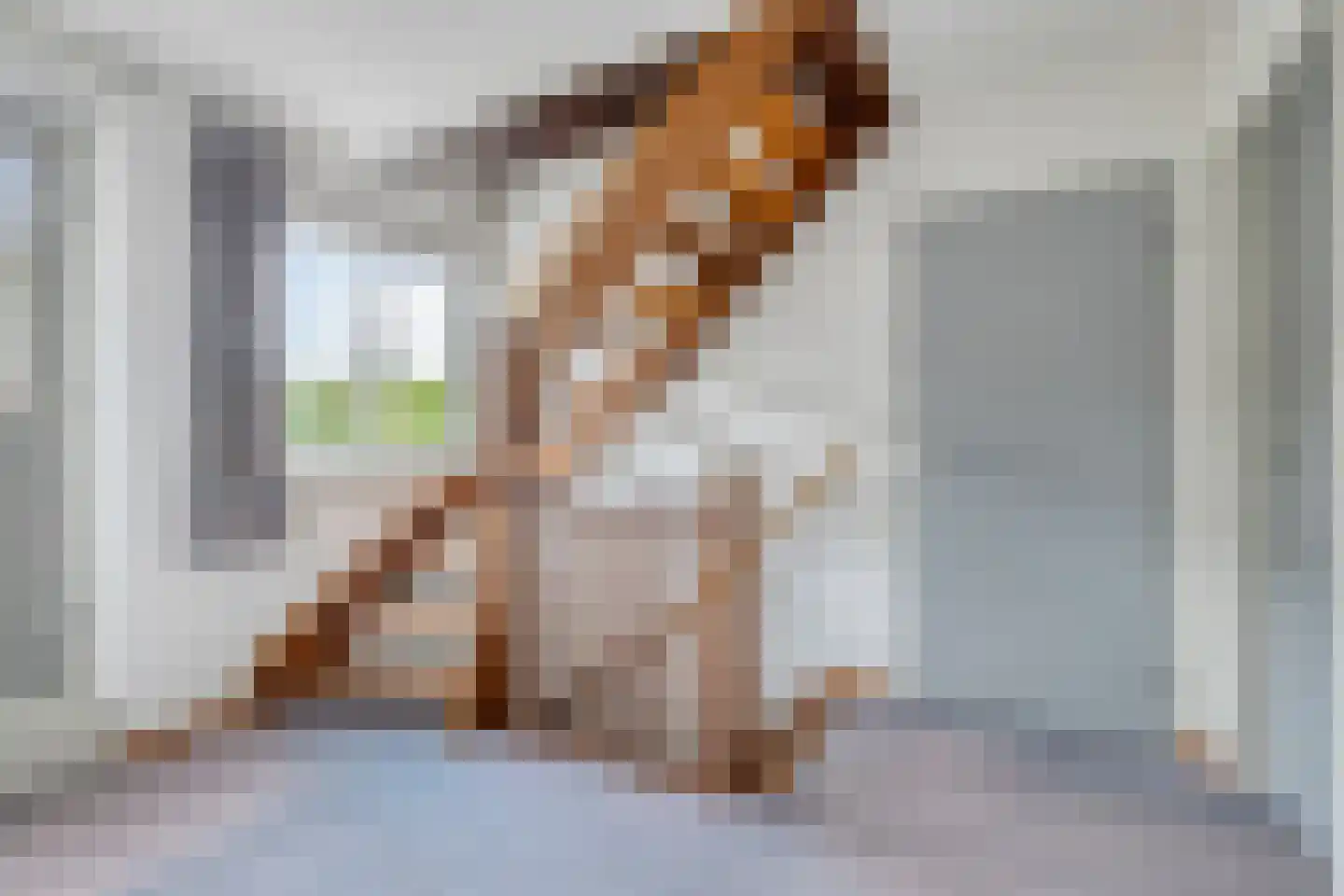 Ripsestraat 22 b De Rips thumbnail 37