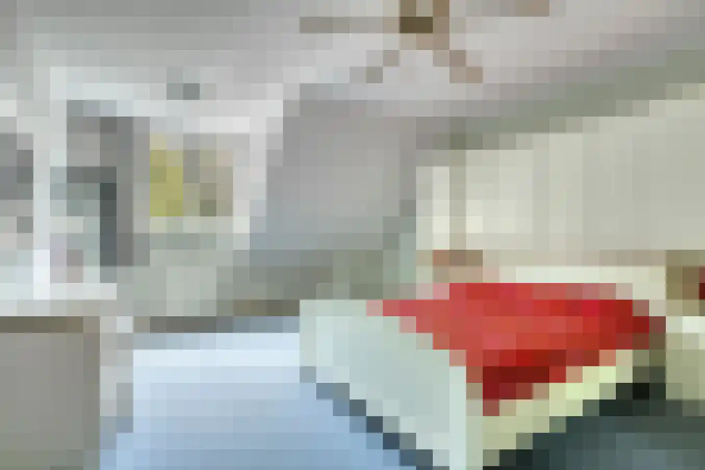 Ripsestraat 22 b De Rips thumbnail 38