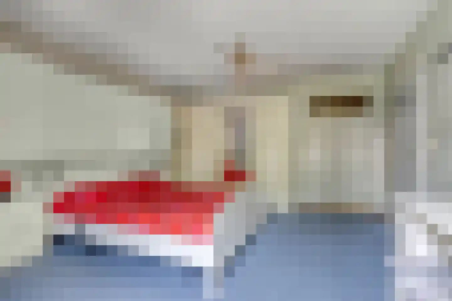 Ripsestraat 22 b De Rips thumbnail 39